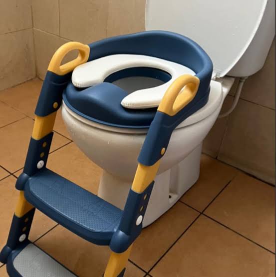 Potty training seat with a step