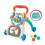 Multi-Function Baby Walker