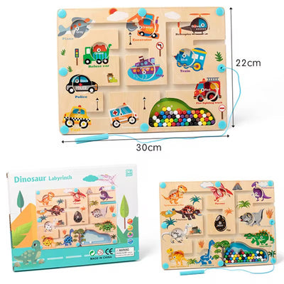 Dinosaurs Master Maze