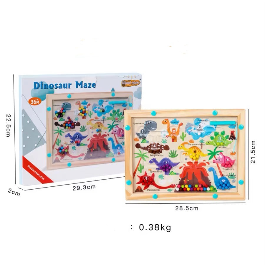 Dinosaur Magnetic Maze
