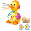 Funny Duck