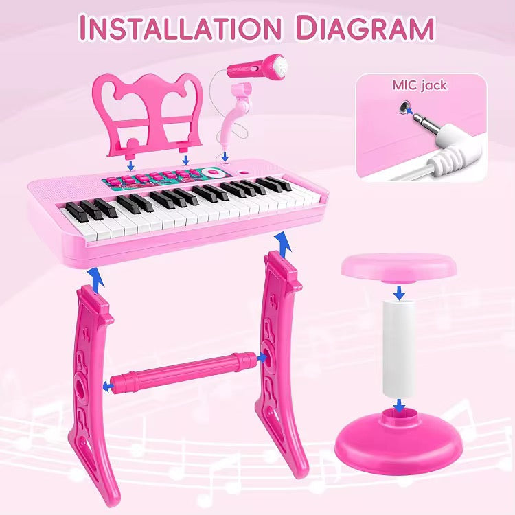 Musical Electronic Organ