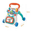 Multi-Function Baby Walker