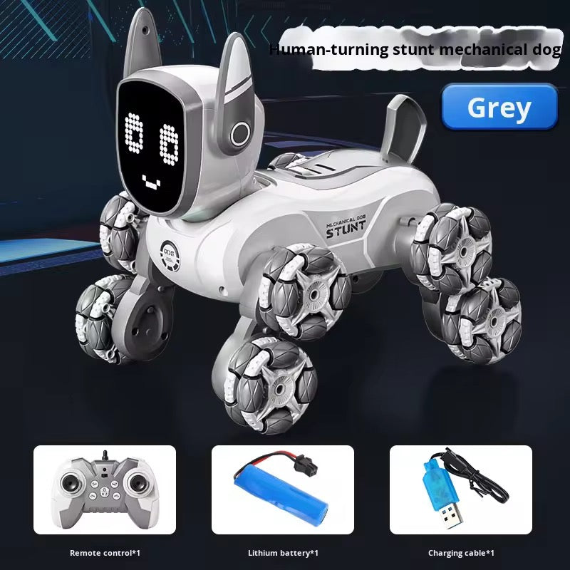 Stunt Dog